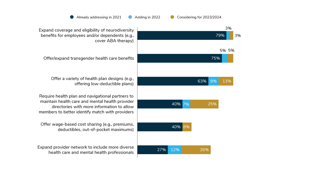 Efforts to Address Health Inequities Within Other Health and Well-being Areas, 2021-2024