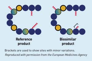 Reference Biologic Product Compared to a Biosimilar Product