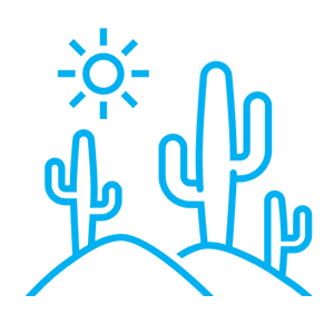 desert landscape with cactus and sun